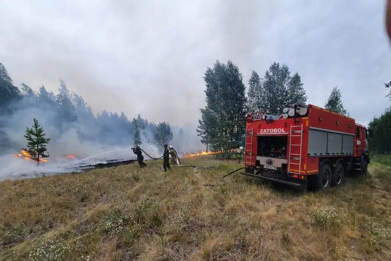 В пригороде Костаная тушат крупный лесной пожар