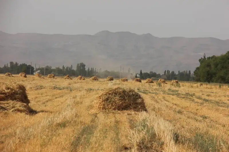 Бердибек Сапарбаев обратился к жамбылским аграриям