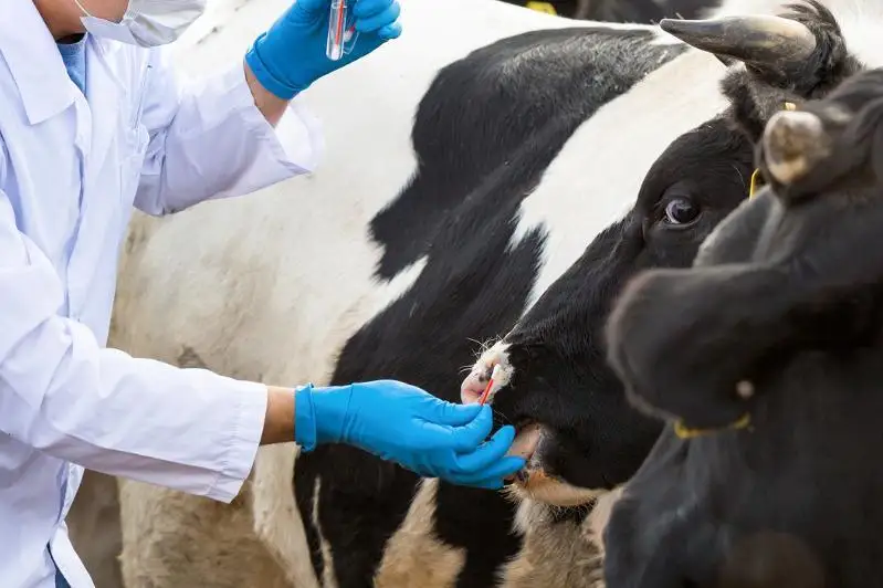 Повысить зарплаты ветеринарам хотят в Казахстане