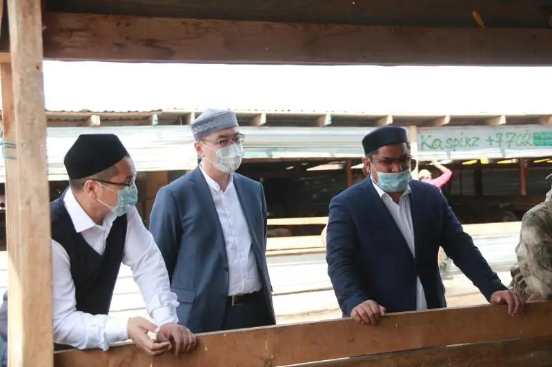 Рабочая группа ДУМК будет контролировать цены на жертвенное животное в Курбан айт