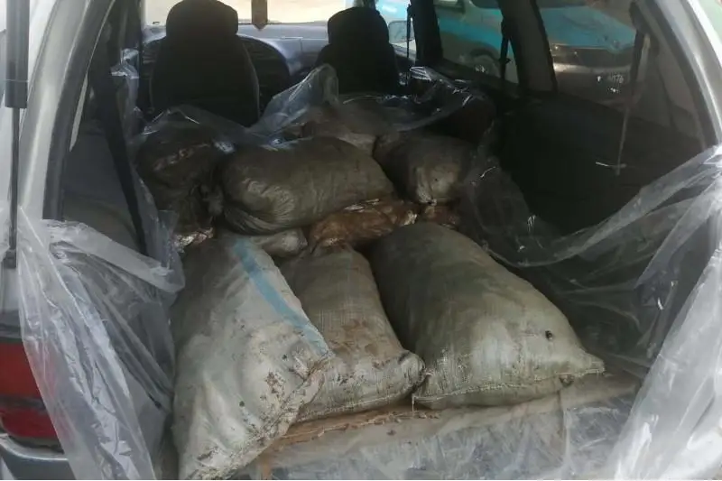 Полтонны незаконно добытой рыбы изъяли в ЗКО