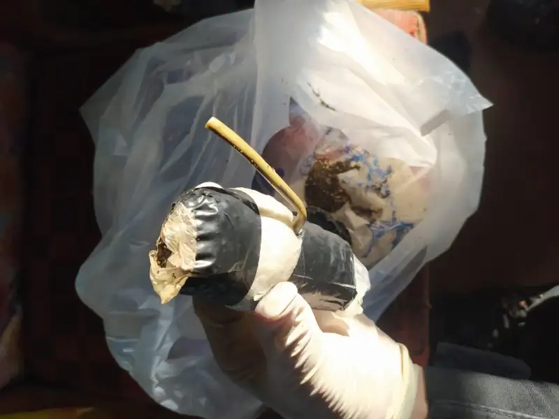 Самодельные гранаты изъяли у жителя СКО