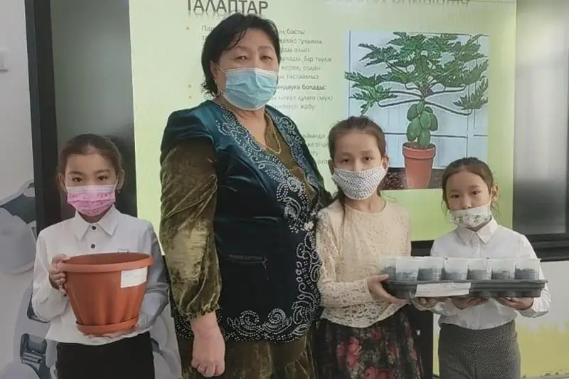 Папайю стали выращивать в Жезказгане