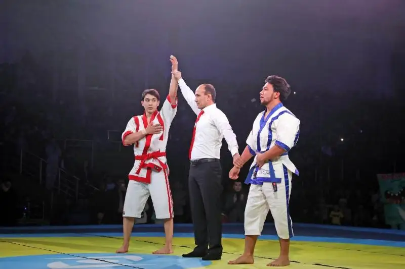 Известные казахстанские певцы и актеры сразились на татами в Таразе