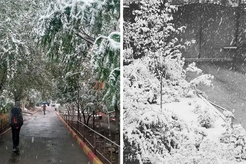«Очень непривычно»: алматинцы делятся фотографиями и видео первого снега