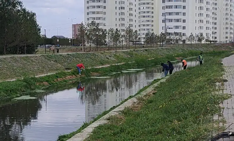 Elordada Sarybulaq ózeniniń arnasy tazartyldy