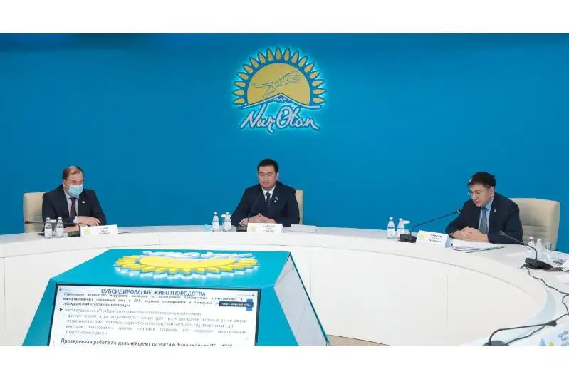 Эффективность системы субсидирования аграриев рассмотрели на площадке Nur Otan