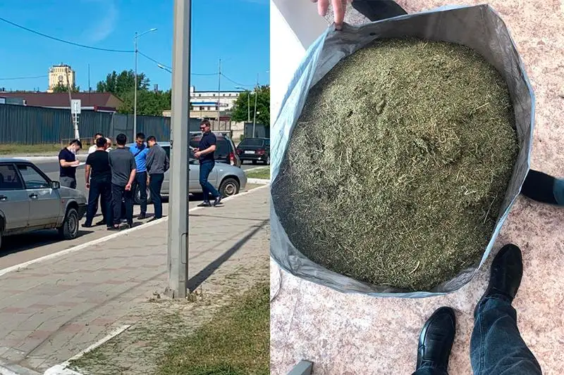 Более 80 кг марихуаны изъяли у жителя Костанайской области