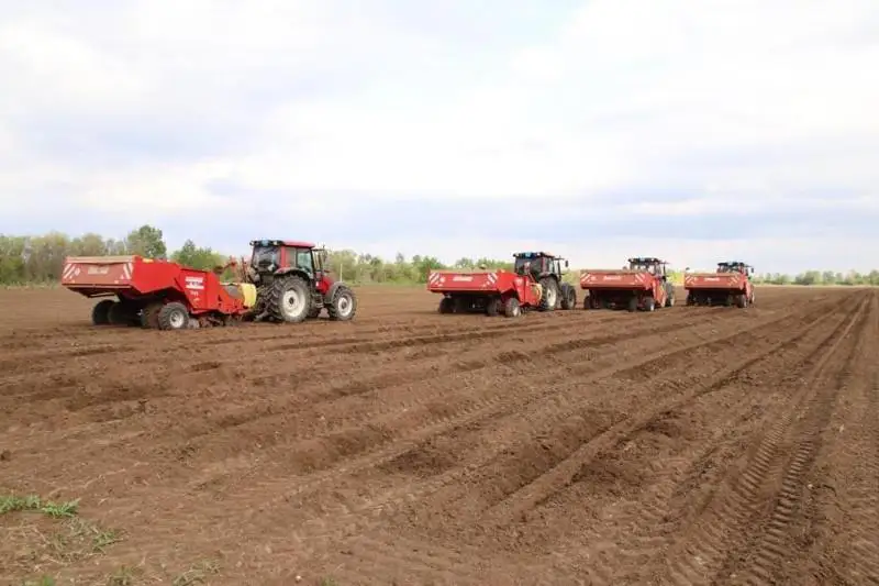 До конца мая планируют завершить посевную в Карагандинской области