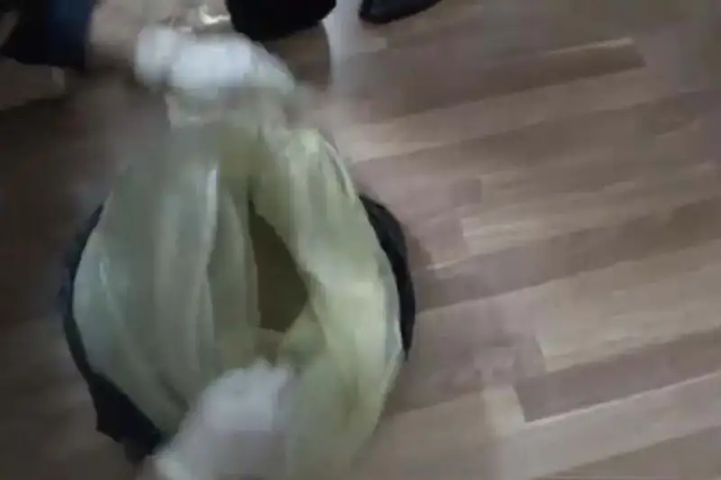 11 кг гашиша прятали в столичном зоосалоне