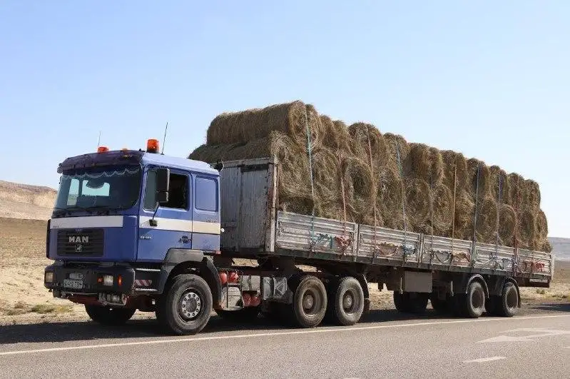 Сельхоз операторы сэкономили 648 миллионов тенге благодаря льготам на перевозку кормов в Мангистаускую область