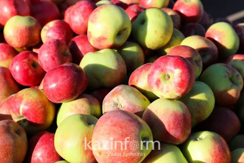 За какие нарушения растительную продукцию из других стран не впускают в Казахстан