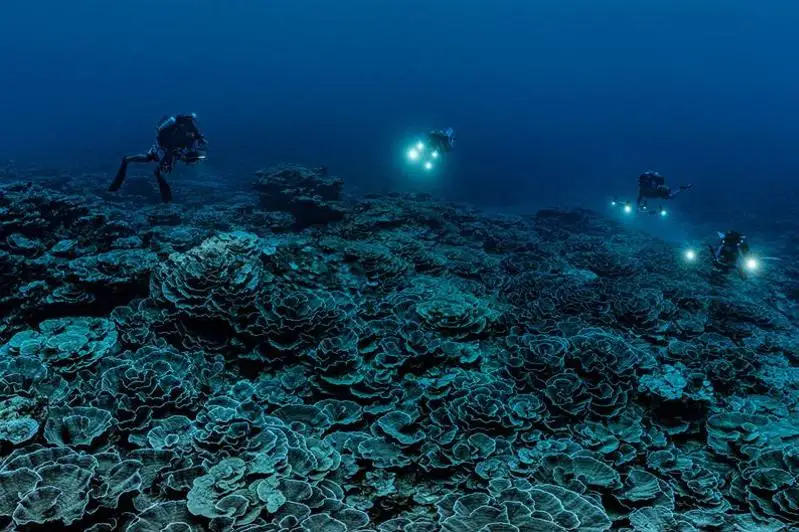 У берегов Таити обнаружен крупнейший коралловый риф
