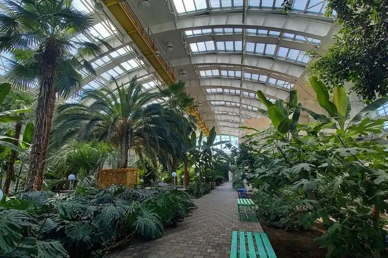 Новый урожай экзотических плодов зреет в зимнем саду Темиртау