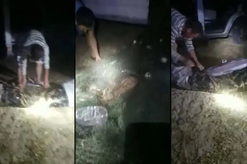 190 кг сазана изъяли у браконьеров в Алматинской области