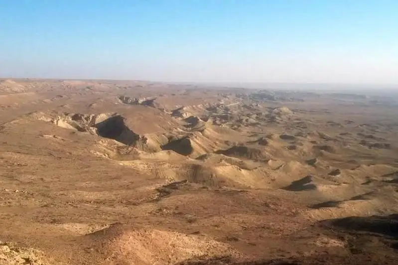 Неиспользуемые земли и пастбища в Мангистау вернули государству