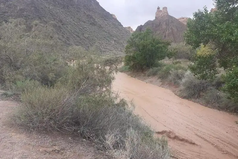 Трагедия в Чарынском каньоне: проводятся следственные мероприятия