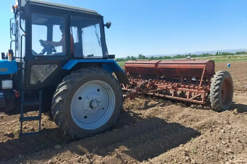 Сою впервые посеяли в Тулькубасском районе