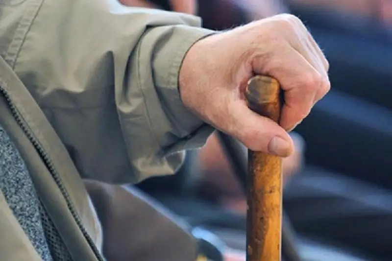 Almaty oblysynda 82 jastaǵy qarııany tonap ketti