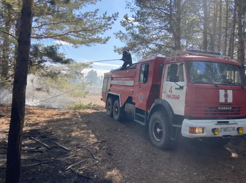 Задействованные в тушении пожара в резервате «Ертіс орманы» силы ДЧС возвращаются в Павлодар