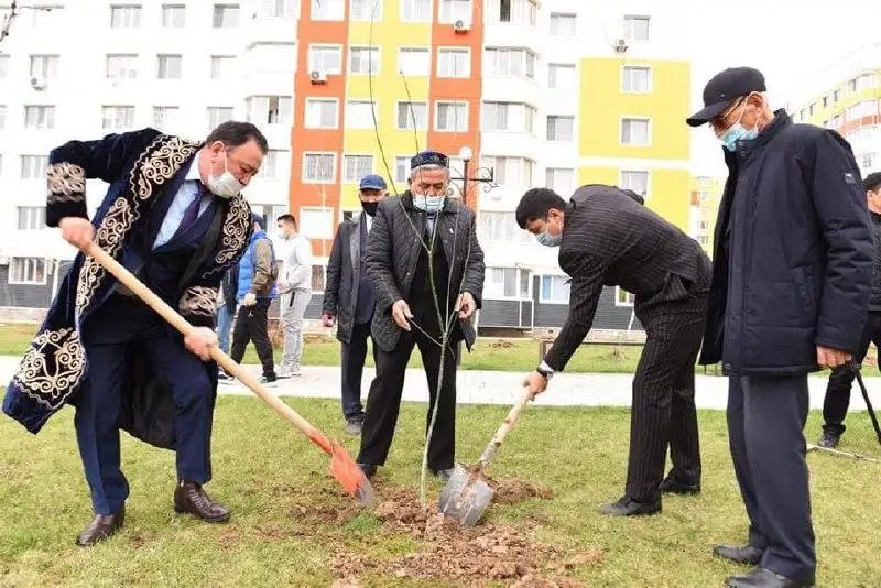 Проект «Таза табиғат»: 250 саженцев можжевельника высажено в Шымкенте