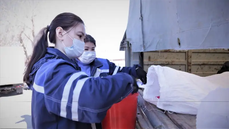 Дератизационные работы против насекомых и грызунов начались в столице