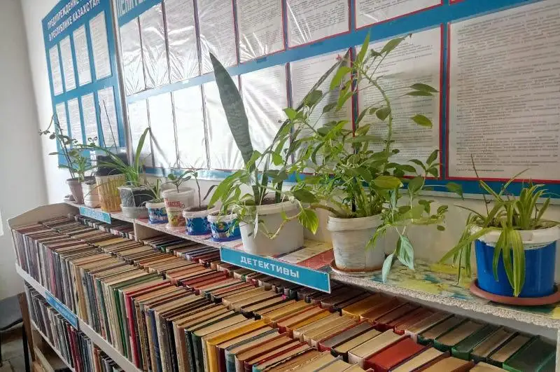 Китайская роза, финик, фиалки - осужденный выращивает цветы в павлодарской колонии