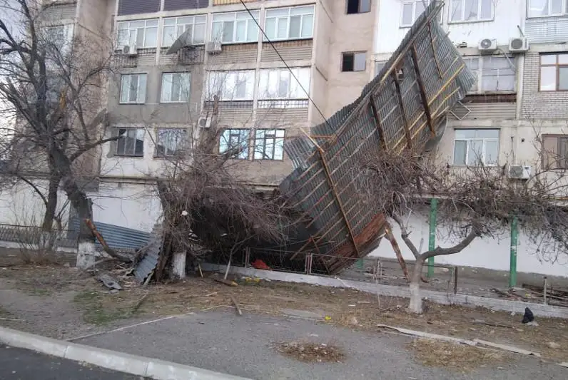 Ураган в Таразе: ветер снес 40 деревьев, крыши домов, светофоры и линии электропередач