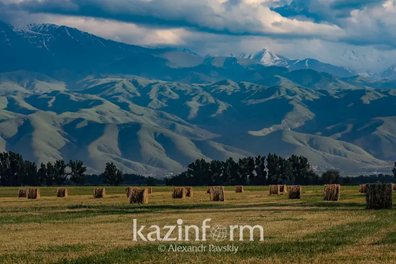 Земельная комиссия: большинство членов поддержало предоставление в аренду сельхозземли до 49 лет