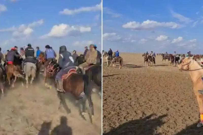 Кокпар на 200 человек устроили в Туркестанской области