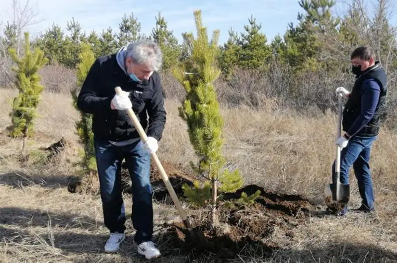 Сотрудники Минэкологии приняли участие в посадке деревьев к 30-летию Независимости Казахстана