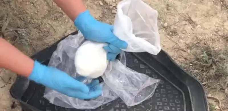 Полицейские Актау задержали распространителей наркотиков