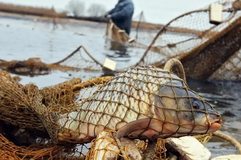 Рыбалку запретили на канале имени Каныша Сатпаева