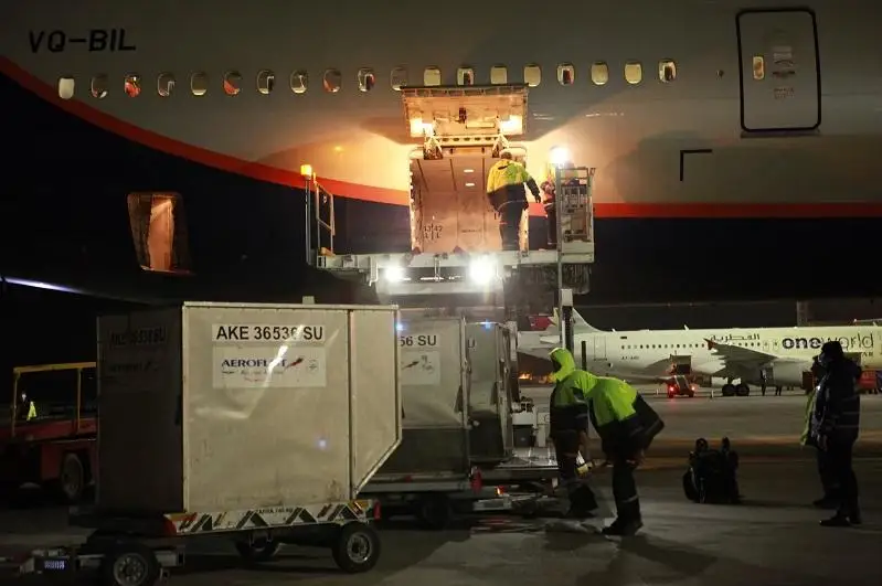 Первую крупную партию вакцины «Спутник V» доставили в Армению