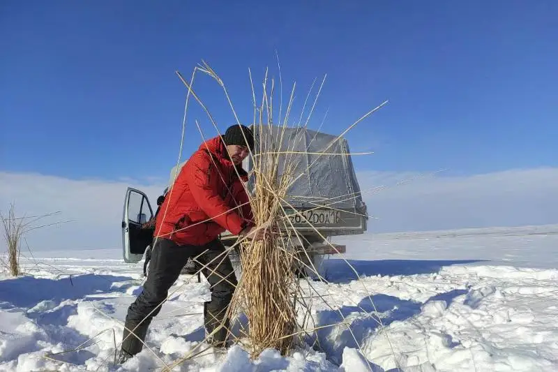Свыше двух тысяч лунок пробурили на водоемах в ВКО