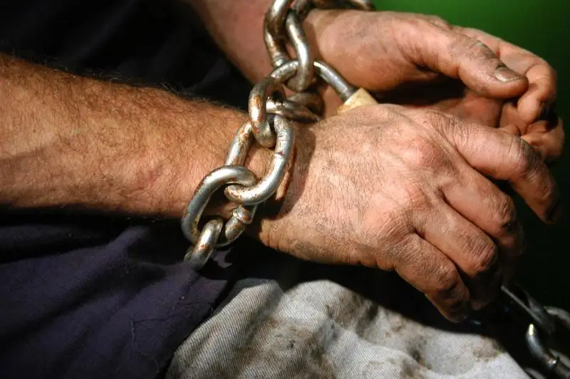 Сколько процентов людей в Казахстане сообщают о фактах рабства