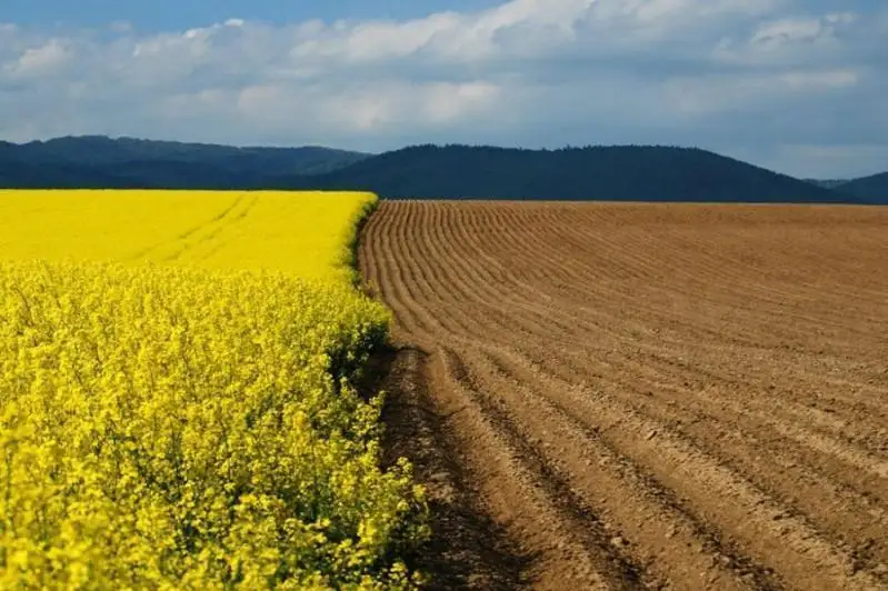 Неиспользуемые сельхозземли: о результатах космомониторинга рассказал Сапархан Омаров