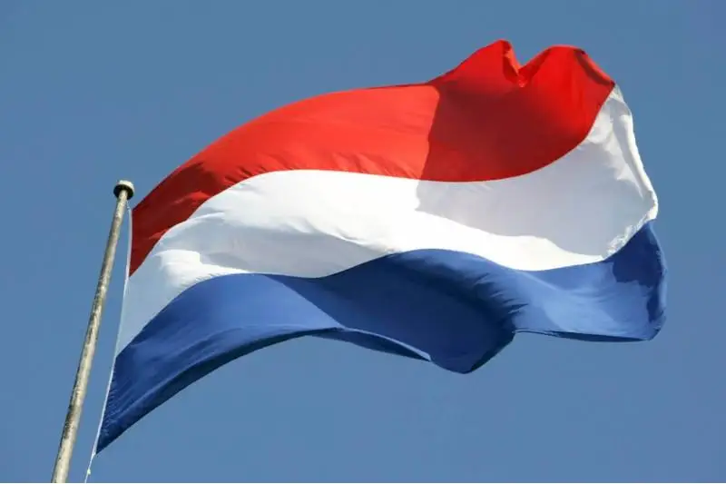 Озвучены предварительные результаты парламентских выборов в Нидерландах