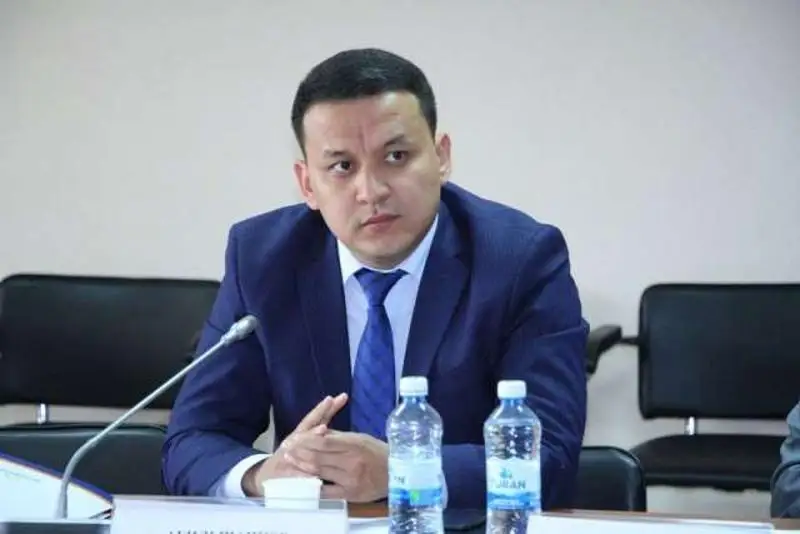 В пилотном проекте «Ashyq» участвуют изъявившие желание бизнесмены - НПП «Атамекен»