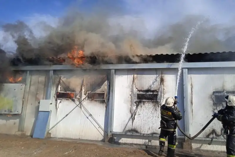 Пожар на Макинской птицефабрике: куры не пострадали