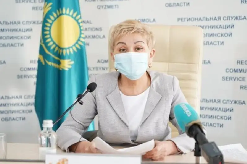 Как будет развиваться сфера культуры в Акмолинской области