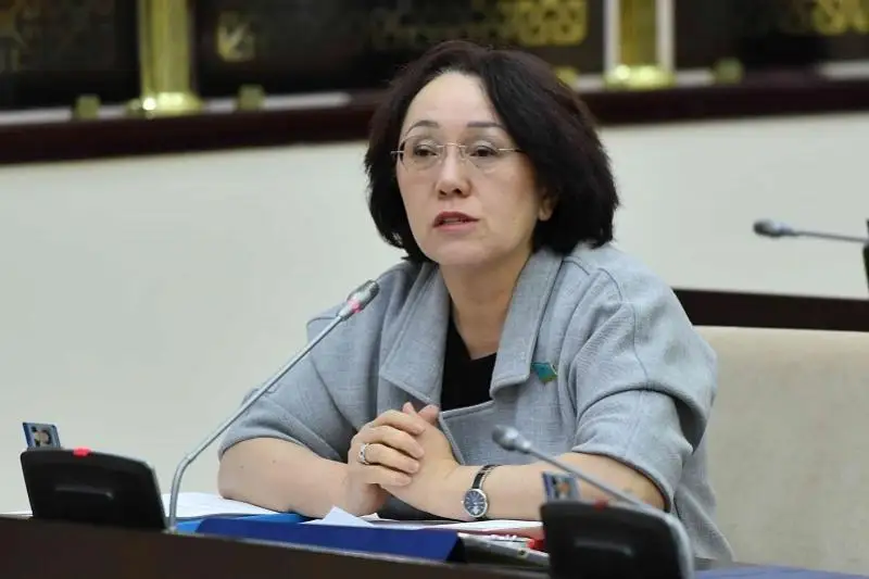 Проблему плагиата научных работ подняла сенатор