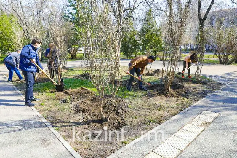 Кусты сирени в знак благодарности врачам высадили в Алматы