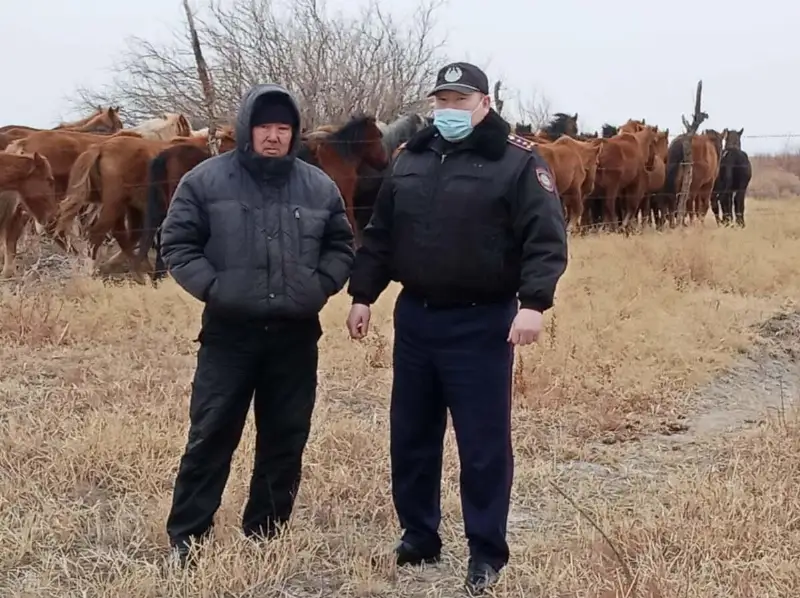 Пропавший табун лошадей вернули хозяину полицейские Кызылординской области