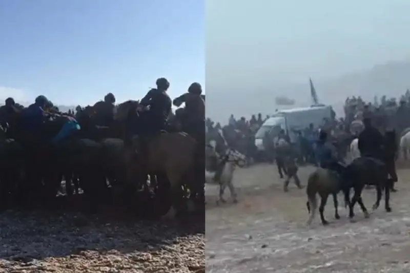 Два факта проведения кокпара выявили в Туркестанской области