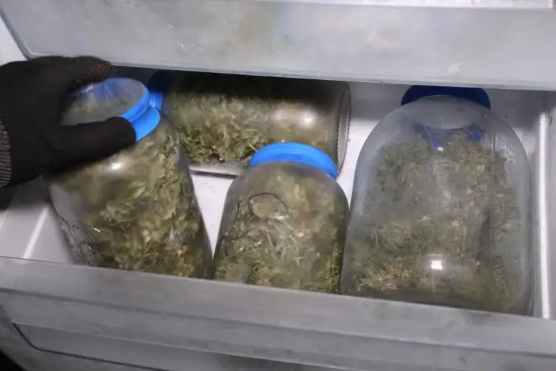 Гашиш обнаружила в морозильнике павлодарца полиция
