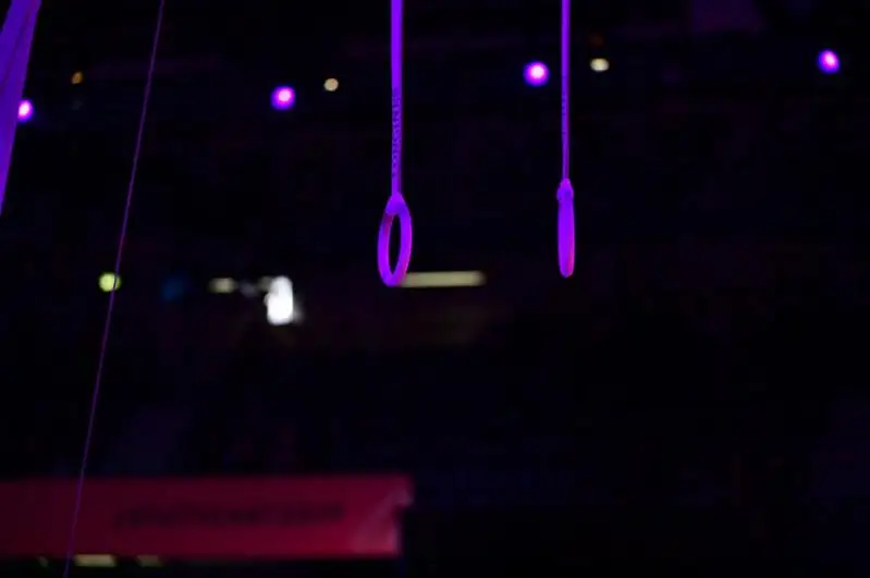 Соревнования Кубка мира по гимнастике отменили из-за пандемии COVID-19