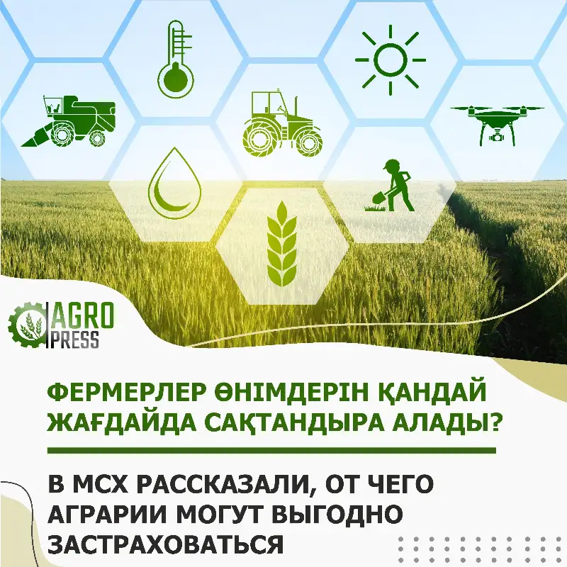 Минсельхоз РК: от чего аграрии могут выгодно застраховаться