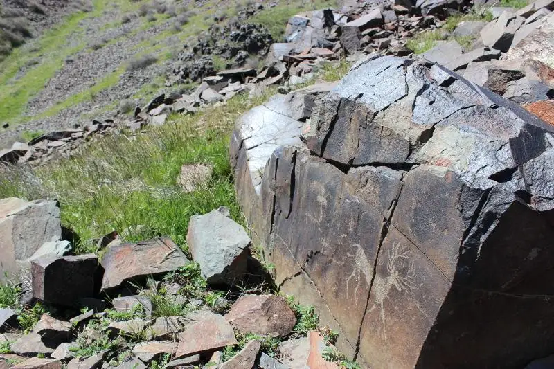 Джип-сафари, этно- и экотуры проведут в Жамбылской области в этом году