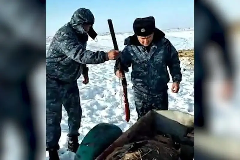 За незаконную охоту на кабана осужден житель Жамбылской области